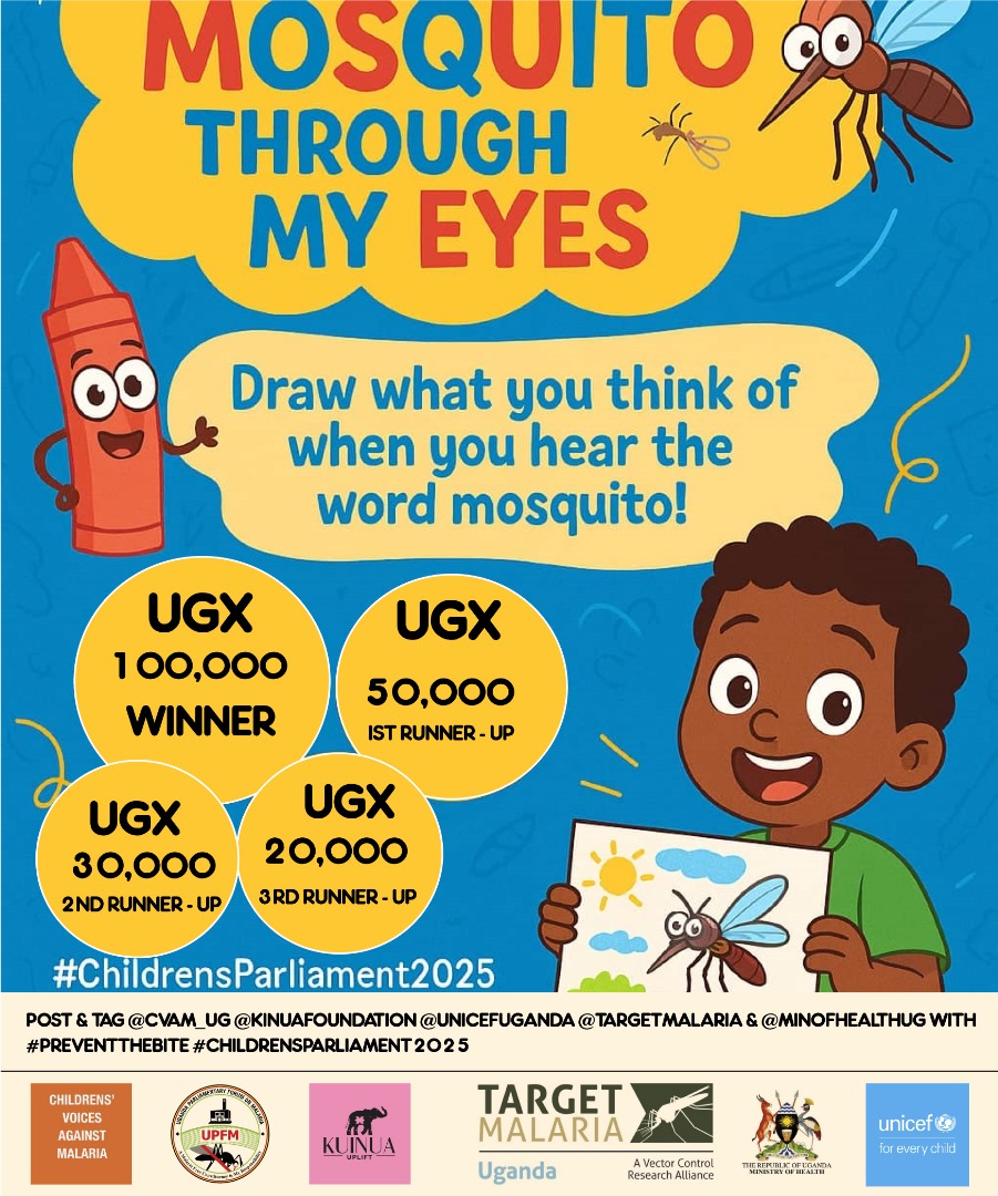 MOSQUITO THROUGH MY EYES